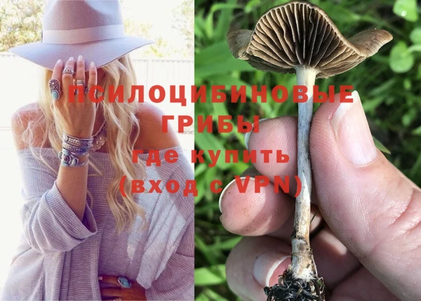 твердый Абдулино