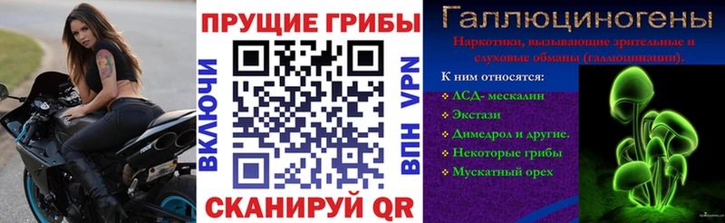 Псилоцибиновые грибы GOLDEN TEACHER  где купить   Вилючинск 